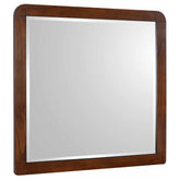 Robyn Dresser Mirror