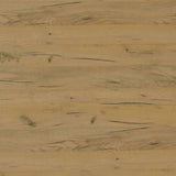 Fanning Engineered Wood Lift Top Coffee Table Golden Oak