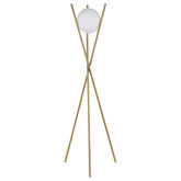 Yamileth 65-inch Spherical Bulb Metal Tripod Floor Lamp Gold
