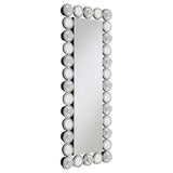 Aghes 24 x 62 Inch Wall Mirror with Lighting Silver