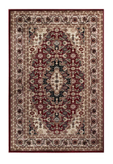 Farudin Area Rug