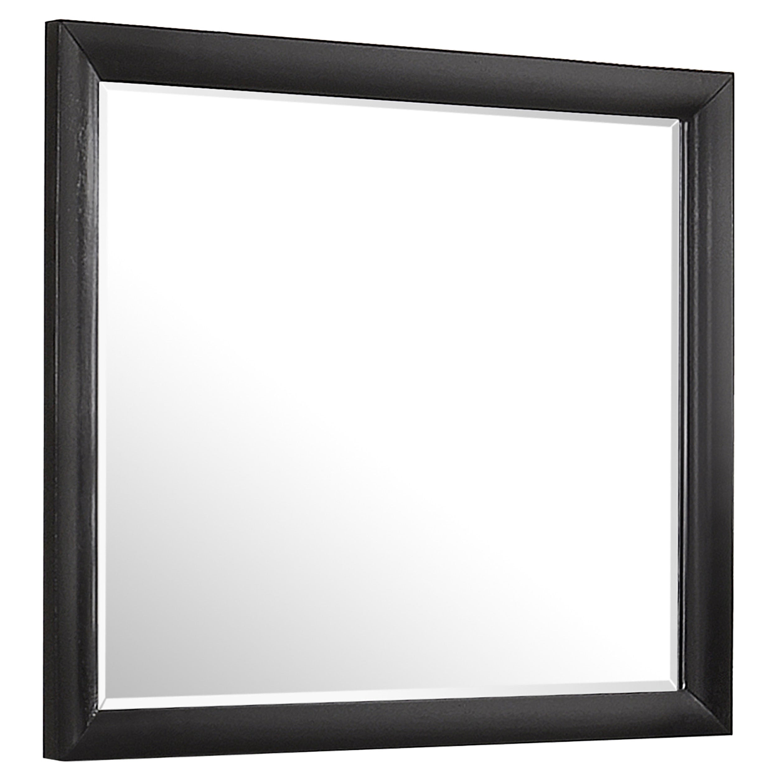 Briana Bedroom Set Black