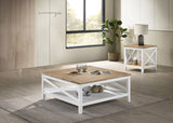 Hollis  Square Coffee and End Table Set White