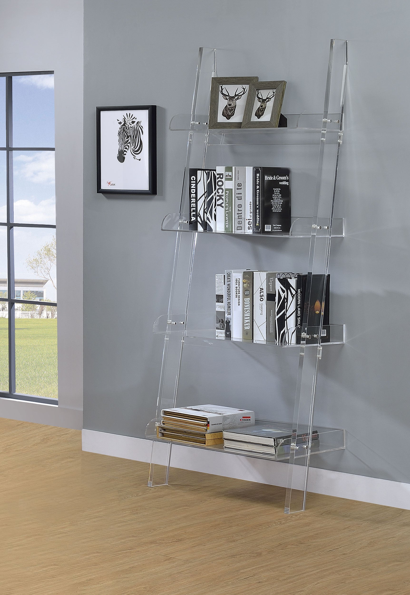 Amaturo 4-shelf Ladder Bookcase Clear