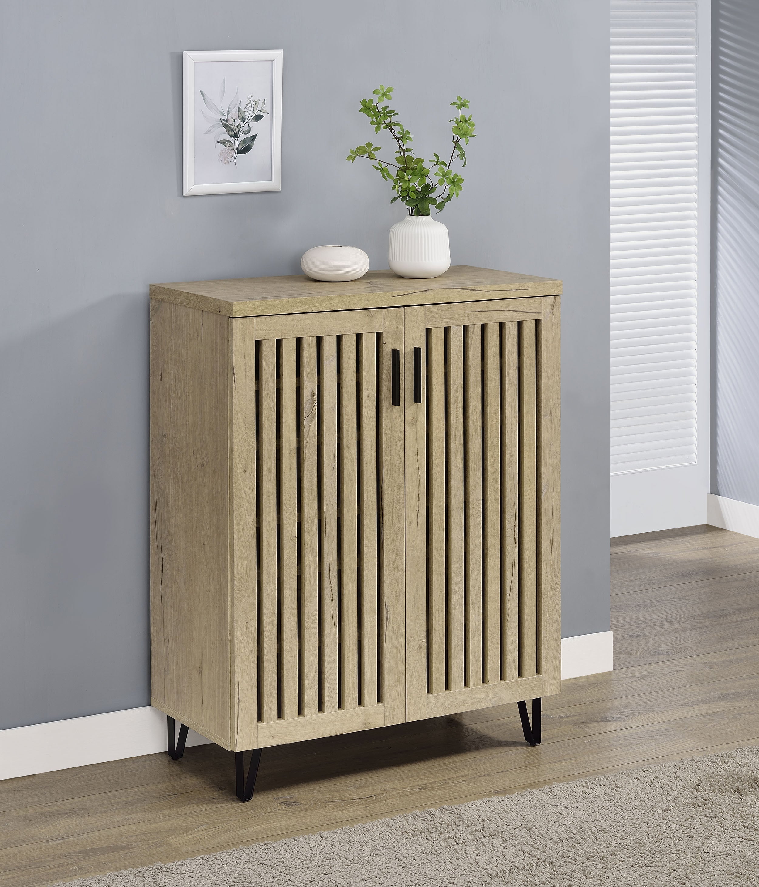 Brixton 2-door Entryway Shoe Storage Cabinets Black
