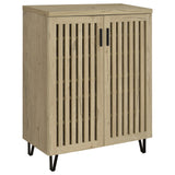 Brixton 2-door Entryway Shoe Storage Cabinets Black