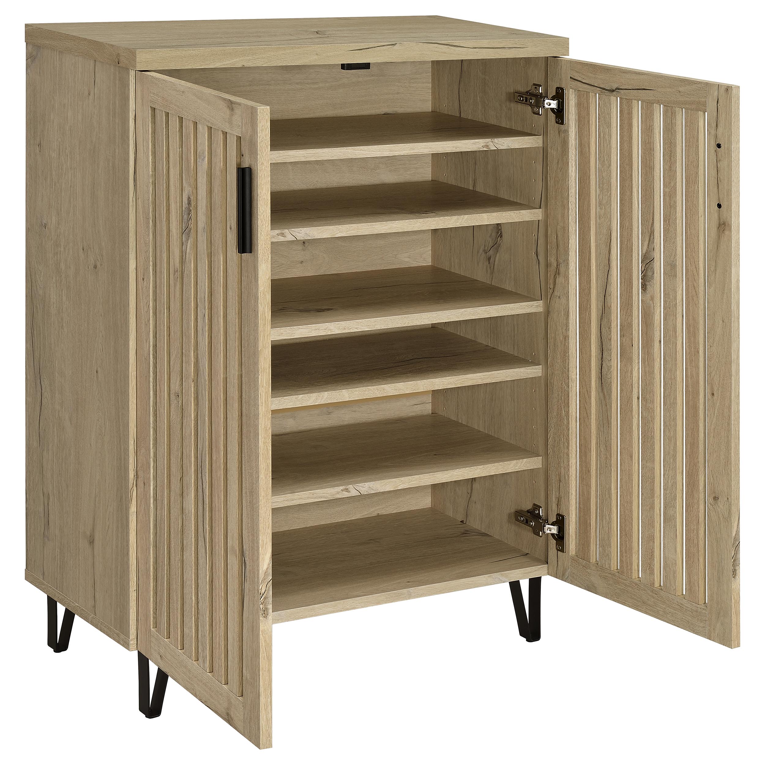 Brixton 2-door Entryway Shoe Storage Cabinets Black