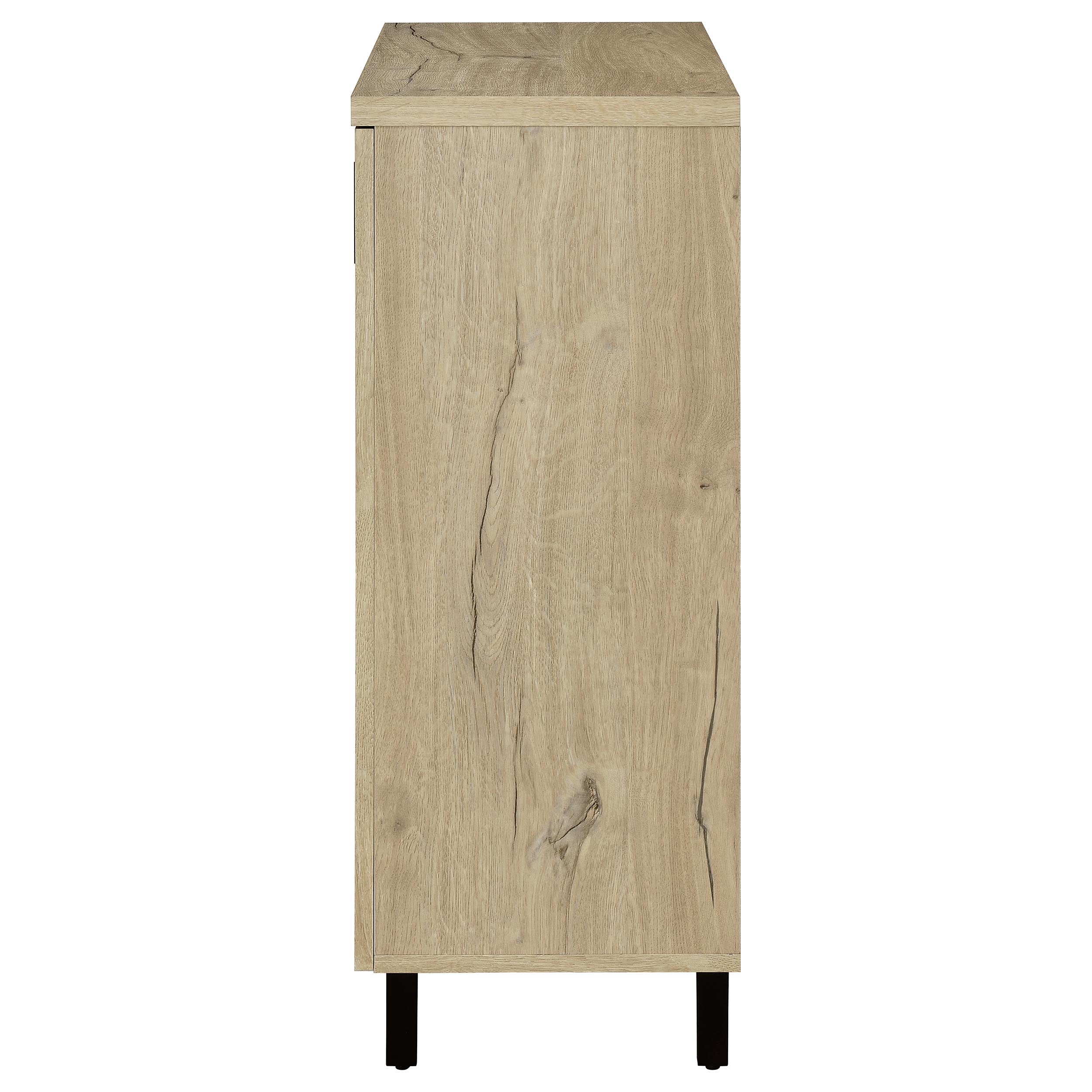 Brixton 2-door Entryway Shoe Storage Cabinets Black