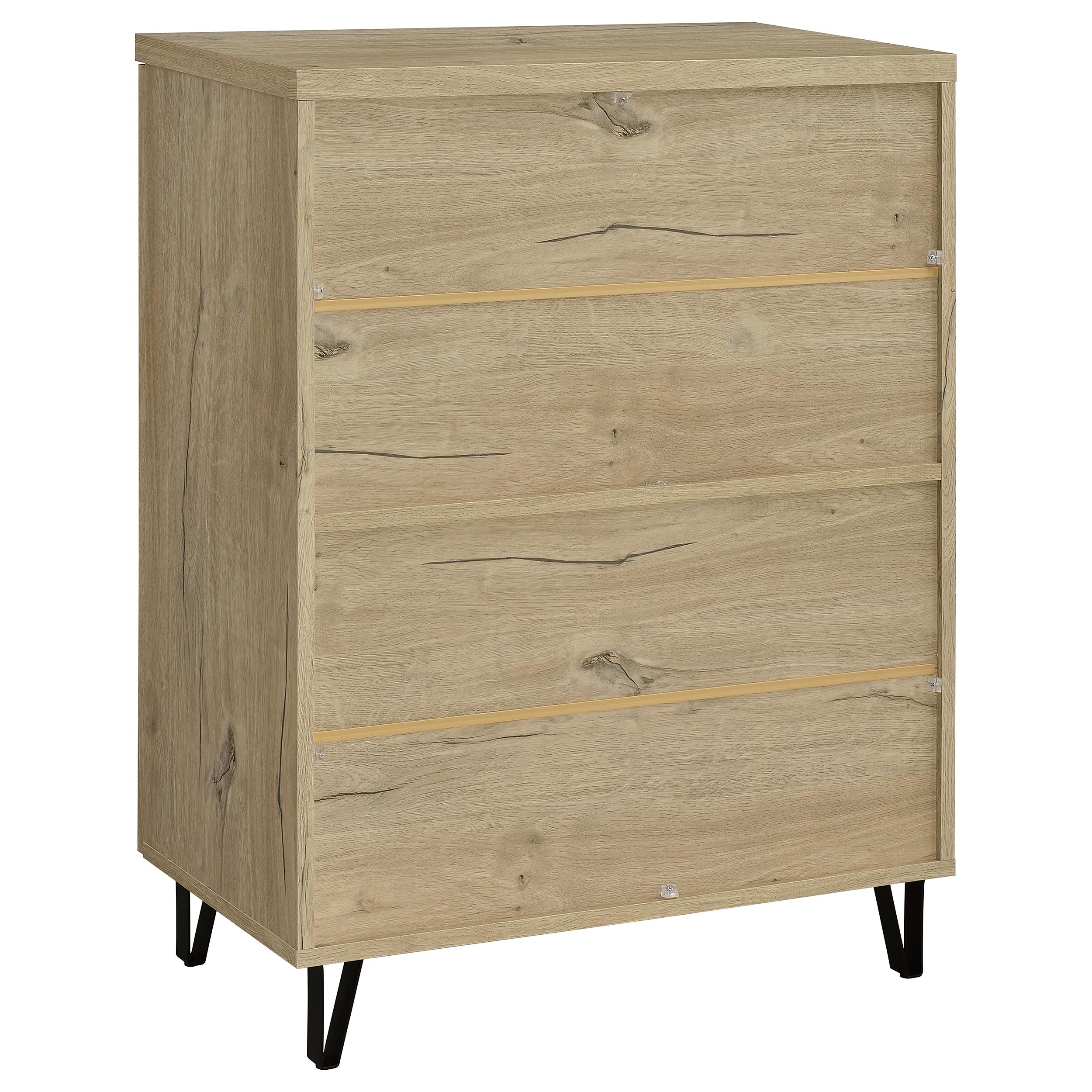 Brixton 2-door Entryway Shoe Storage Cabinets Black