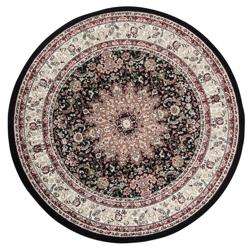 Anariya Area Rug